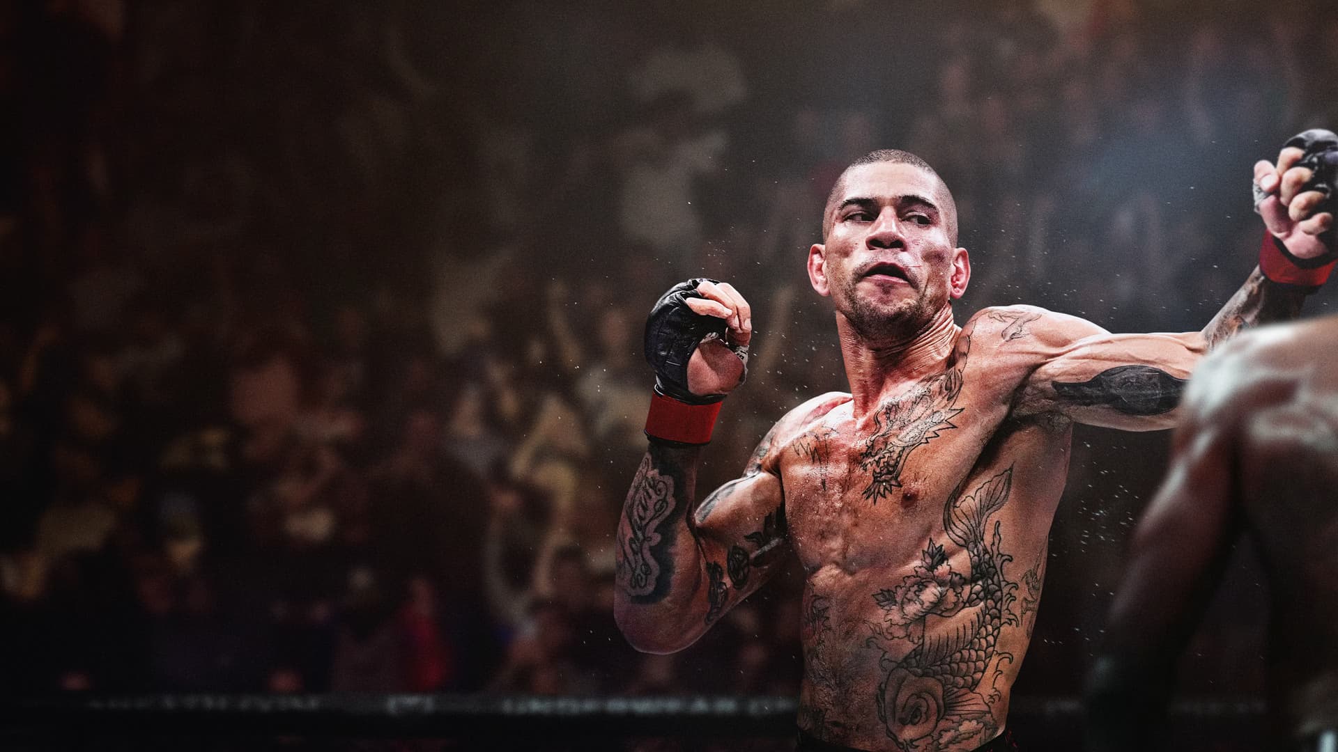 EA Sports UFC 6 officially announced and PC is not mentioned for now!