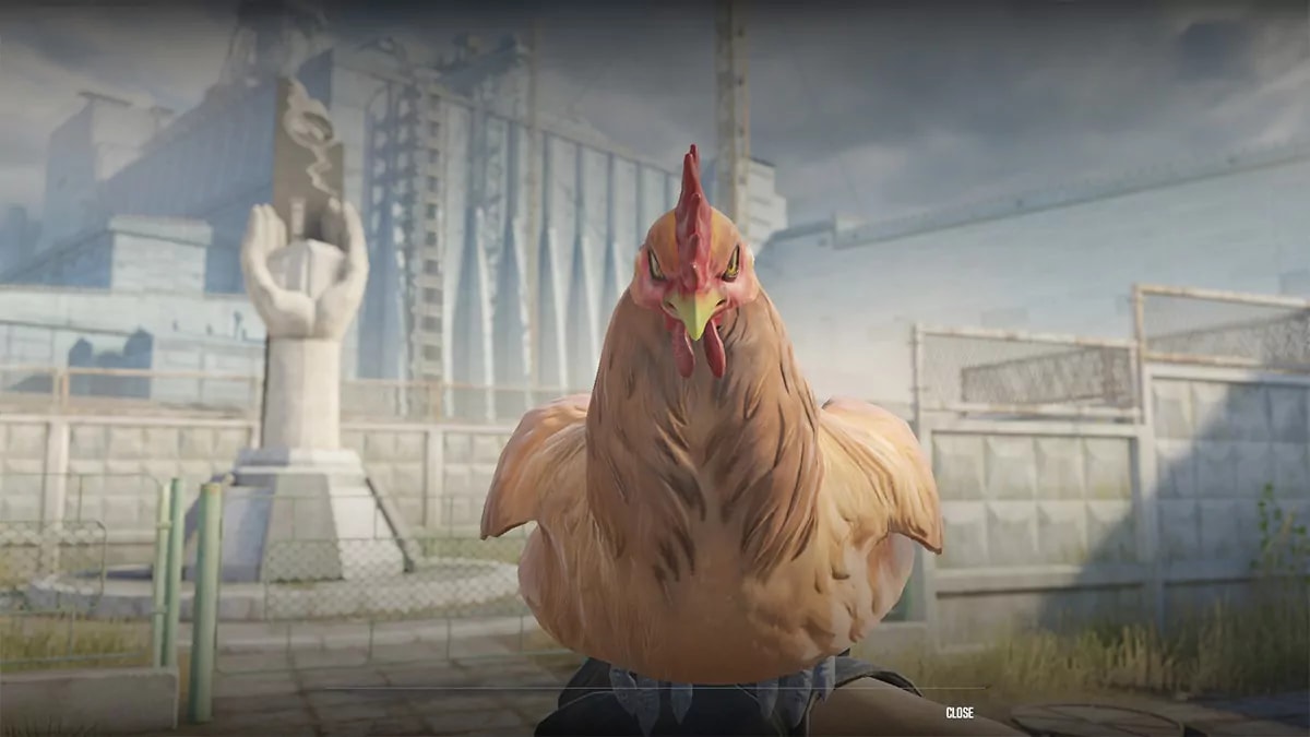 Cs2 Chicken Pet