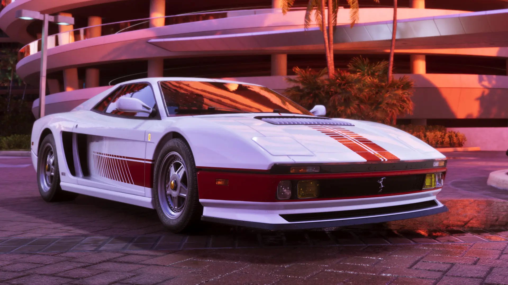 Cheetah 1995