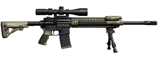 Assault Sniper